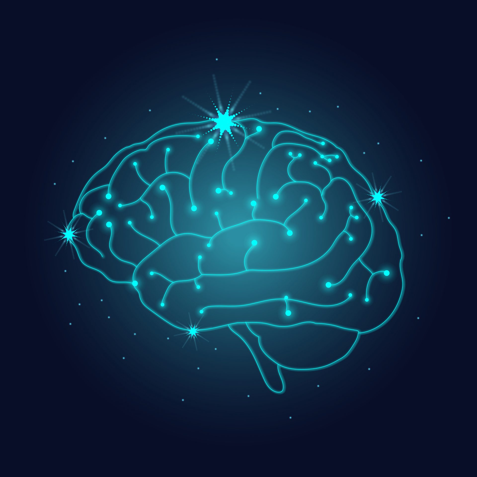 Neuroeducación